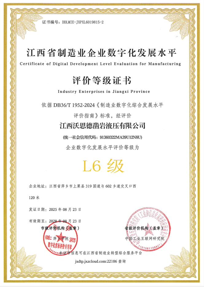 企业数字化发展水平L6证书