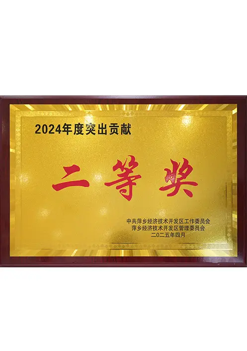 2024年度突出贡献